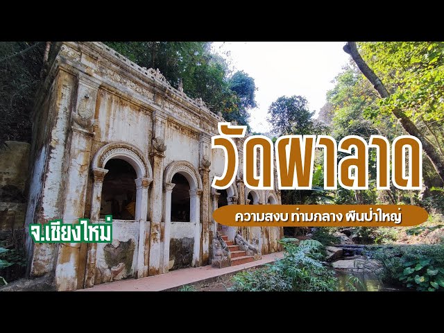 วัดสงบร่มรื่นทางขึ้นดอยสุเทพ วัดผาลาด อุทยานแห่งชาติดอยสุเทพปุย จังหวัดเชียงใหม่
