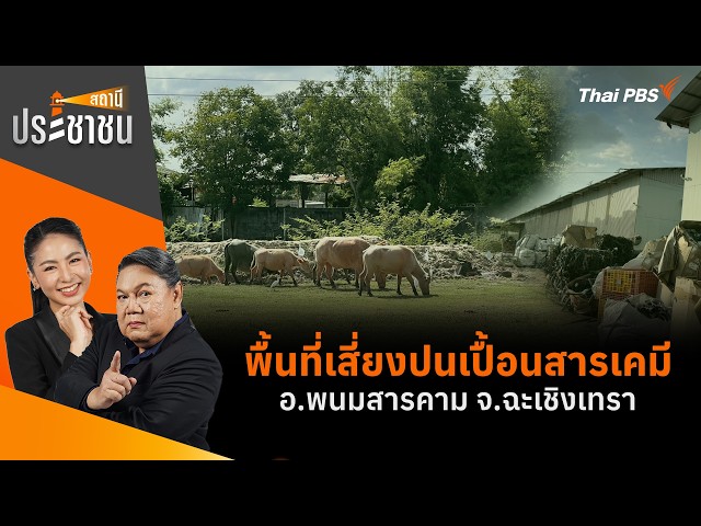 🔴 [Live] พื้นที่เสี่ยงปนเปื้อนสารเคมี อ.พนมสารคาม จ.ฉะเชิงเทรา | สถานีประชาชน | 29 ต.ค. 69