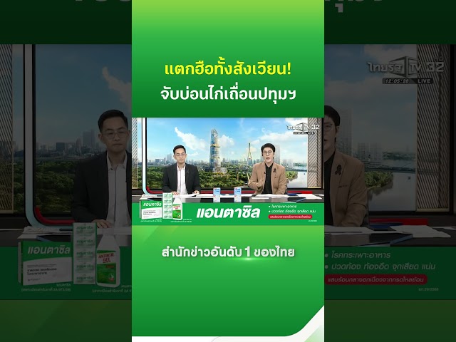 แตกฮือทั้งสังเวียน! บุกจับบ่อนไก่เถื่อนปทุมฯ | Thairath