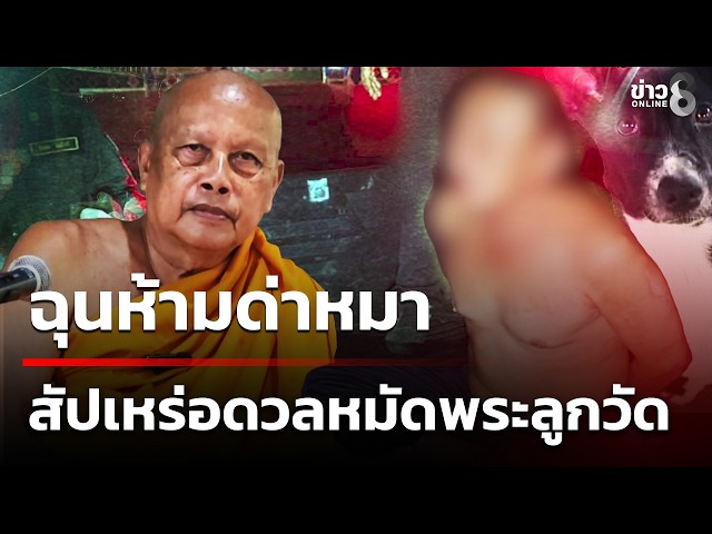 ฉุนห้ามด่าหมา สัปเหร่อดวลหมัดพระลูกวัด | 31 ต.ค. 69 | คุยข่าวเช้าช่อง8