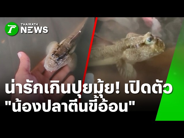 หนีผ้าเหลืองปลิว! ล้อมจับ “หลวงพี่ดาว” ซิ่งชนสาวดับ | 30 ต.ค. 69 | ห้องข่าวหัวเขียว