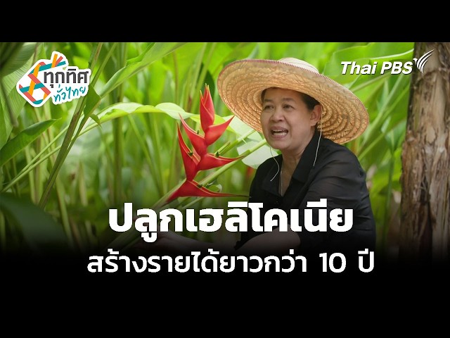 ปลูกเฮลิโคเนียสร้างรายได้ยาวกว่า 10 ปี  ทุกทิศทั่วไทย  21 ก ย  69