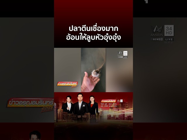 ปลาตีนแสนรู้ ขี้อ้อนขอของกิน ยอมให้ลูบหัวอุ๋งอุ๋ง | ข่าวอรุณอมรินทร์