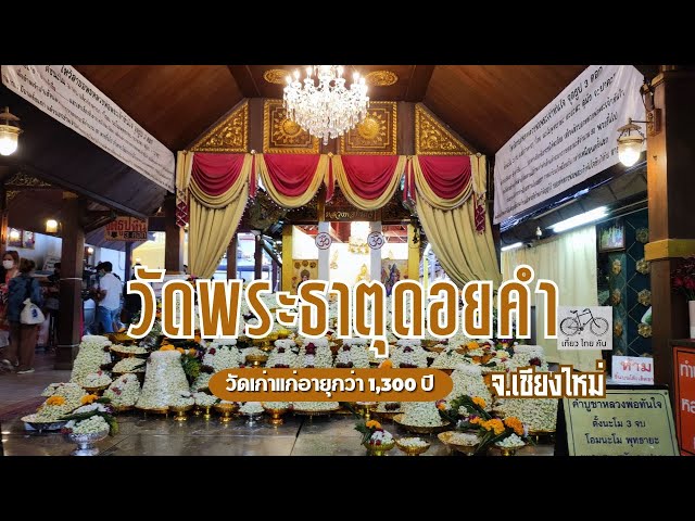 มะลิถวายพระเจ้าทันใจ วัดพระธาตุดอยคำ ( รีวิวทางขึ้น + ศาลปู่แสะ ย่าแสะ + พระเจ้าทันใจ ) จ.เชียงใหม่