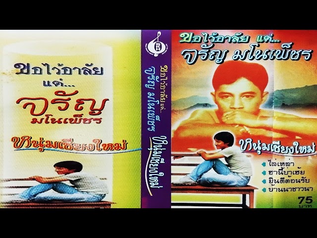 จ้างมันเต๊อะ - จรัญ มโนเพ็ชร