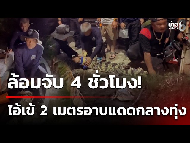ล้อมจับไอ้เข้ 4 ชม. ตัวยาวเกือบ 2 เมตร | 29 ต.ค. 69 | คุยข่าวเช้าช่อง8