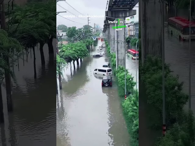ฟังครบจบเลย! สาวรายงานสถานการณ์น้ำท่วม ถ.ลาดพร้าว