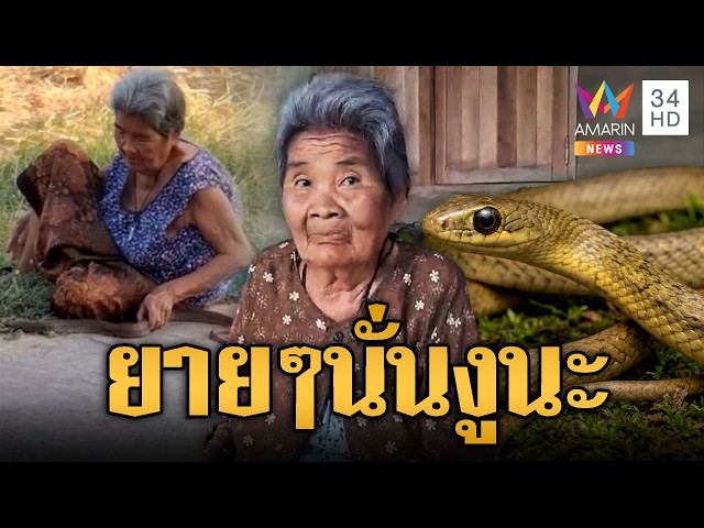 ยายใจกล้านั่งเล่นงูสิงตาโต สนิทกันจนน่าแปลกใจ | ข่าวอรุณอมรินทร์ | 31/10/69