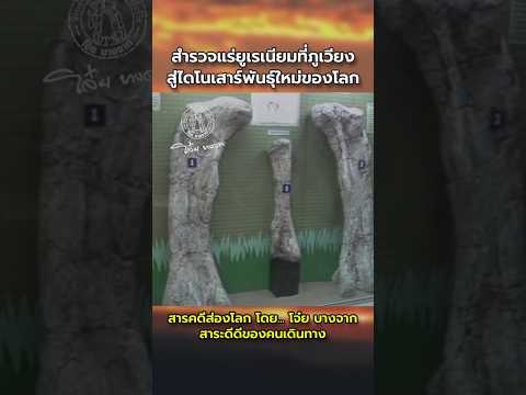 การสำรวจแร่ยูเรเนียมบนภูเวียง สู่การค้นพบกระดูกไดโนเสาร์สายพันธุ์ใหม่ของโลก #ยูเรเนียม #ไดโนเสาร์