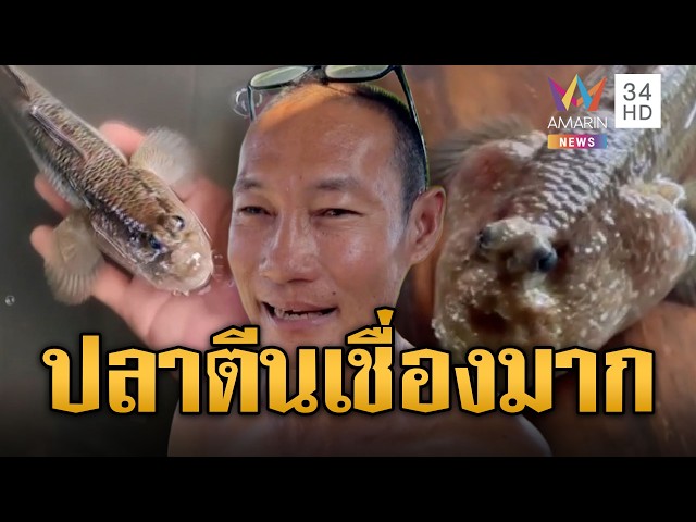 ปลาตีนขี้อ้อน โผล่ขออาหารชาวบ้าน ยอมให้จับลูบหัวอุ๋งอุ๋ง | ข่าวอรุณอมรินทร์ | 30/10/69