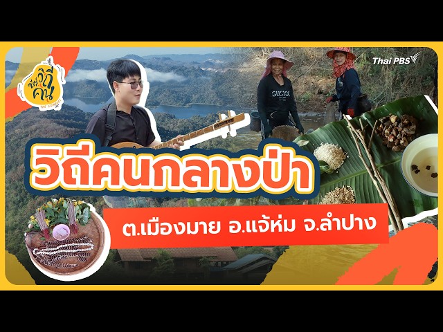 วิถีคนกลางป่า ต.เมืองมาย อ.แจ้ห่ม จ.ลำปาง | ซีรีส์วิถีคน
