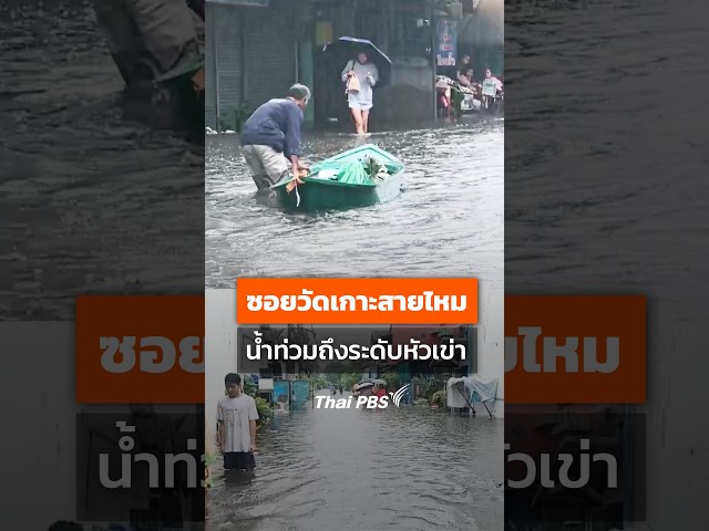 ซอยวัดเกาะสายไหม น้ำท่วมถึงระดับหัวเข่า 🌊 #shorts #shotsThaiPBS