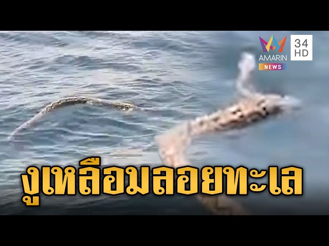 หนุ่มออกเรือหาปลาช็อก เจองูเหลือมโผล่ลอยกลางอ่าวไทย | ข่าวอรุณอมรินทร์ | 30/10/69