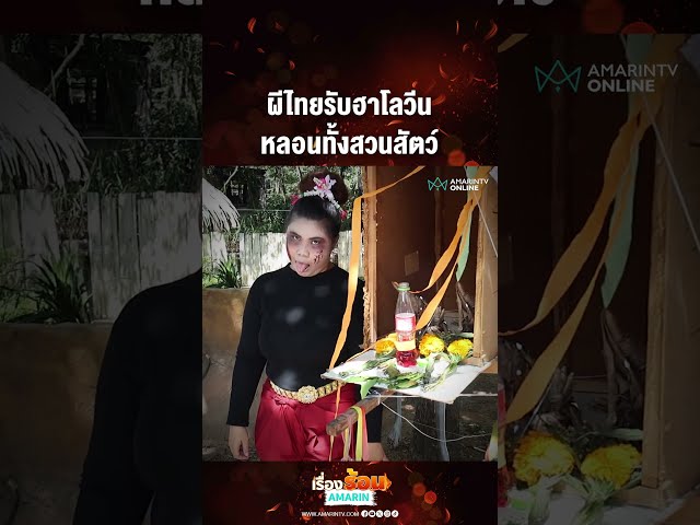 ผีไทยรับฮาโลวีน หลอนทั้งสวนสัตว์ | เรื่องร้อนอมรินทร์
