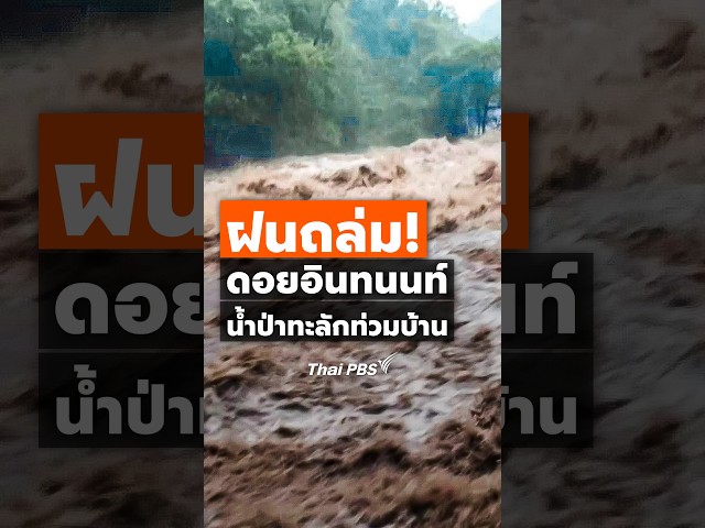 ฝนถล่ม #ดอยอินทนนท์ น้ำป่าทะลักท่วมบ้าน (20 ก.ย. 69) #ThaiPBS #ชั่วโมงข่าวเสาร์อาทิตย์